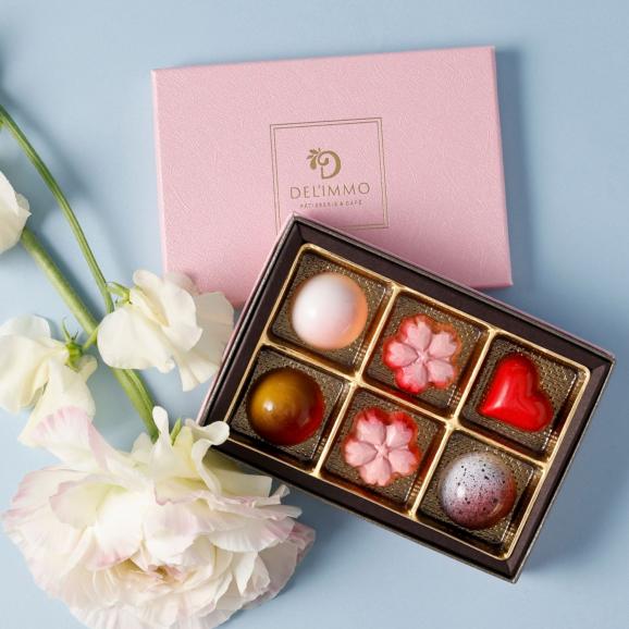 ショコラアソート サクラ602