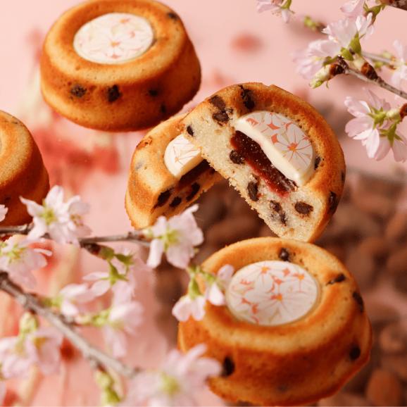 サクラ焼菓子ギフト6個セット05