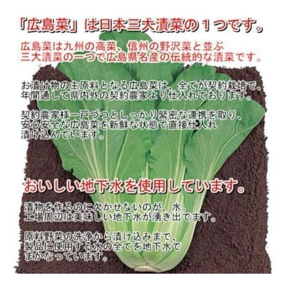 【送料込】日本三大漬菜・広島菜の漬物３種セット04