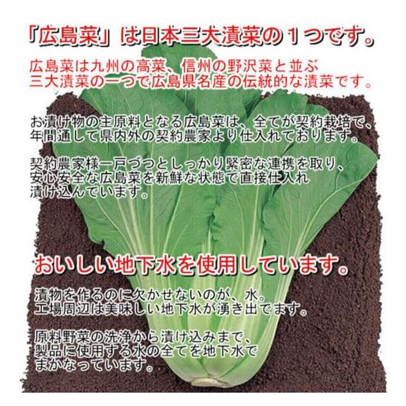 【送料込】安藝紫２袋（100ｇ×2）／日本三大漬菜・広島菜＆赤しそのお漬物03