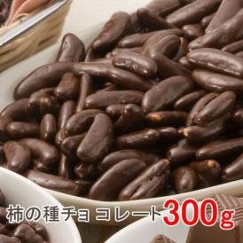 【300ｇ】柿の種チョコレート