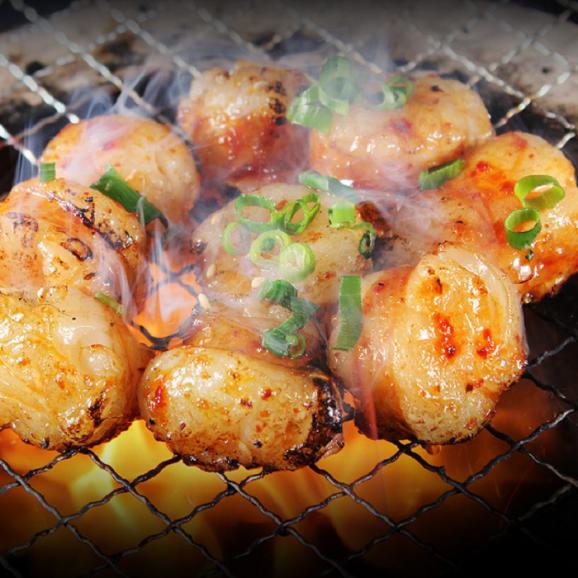 送料無料 ふたごの厳選牛とろける「ホルモン」メガ盛りセット02