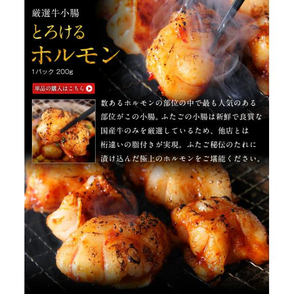 送料無料 ふたごの厳選牛とろける「ホルモン」メガ盛りセット03