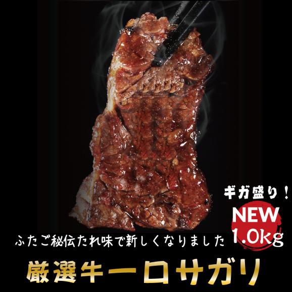 【送料無料】ふたごの秘伝だれ厳選牛一口サガリ 1.0kg01