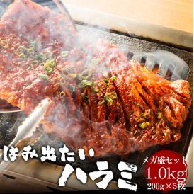 ふたご名物はみ出たいハラミ メガ盛セット1kg！