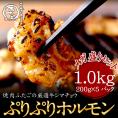 ふたごの厳選牛ぷりぷりホルモンメガ盛セット1kg(200g×5) 送料無料