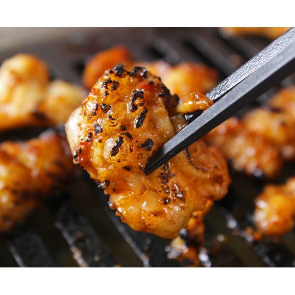 ふたごの厳選牛ぷりぷりホルモンメガ盛セット1kg(200g&times;5) 送料無料 03