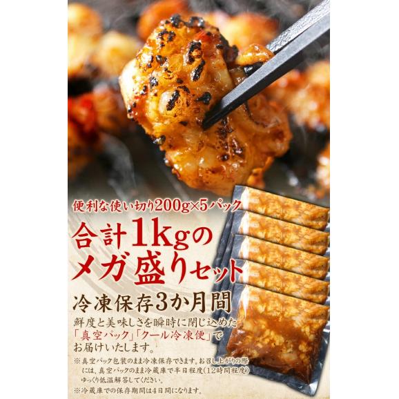 ふたごの厳選牛ぷりぷりホルモンメガ盛セット1kg(200g&times;5) 送料無料 04