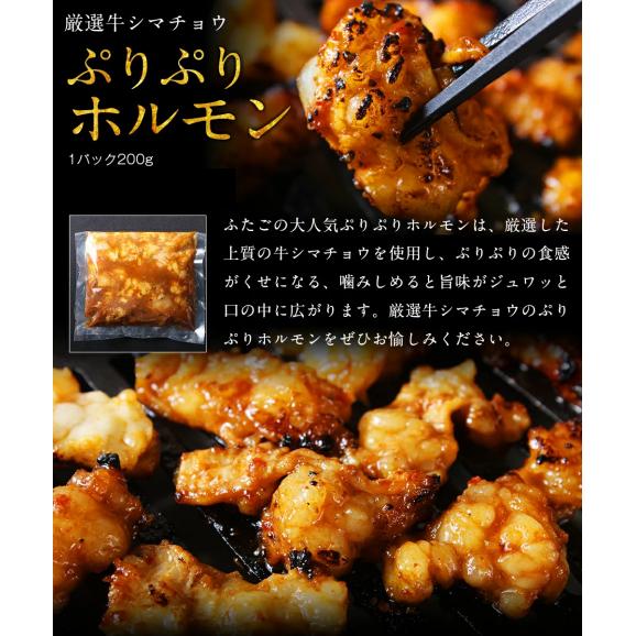 【送料無料】ふたご厳選焼肉満足セット 全6品 サガリ カルビ ホルモン 丸腸 ダッカルビ 豚トロ05