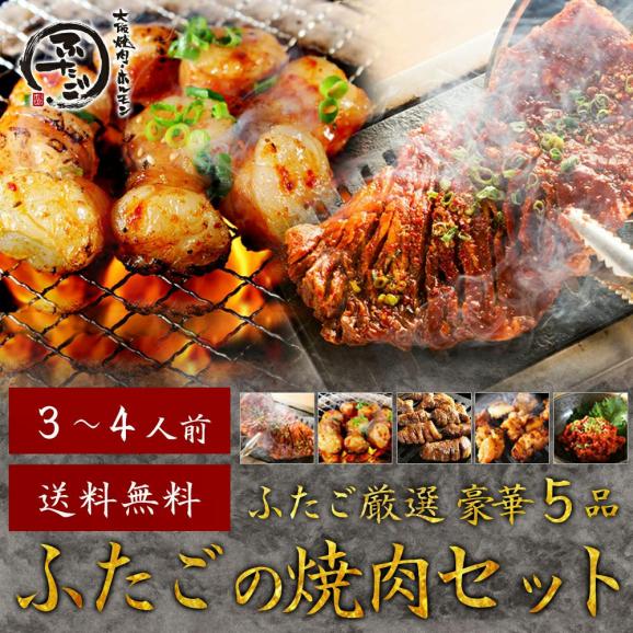 【送料無料】厳選 豪華5品 ふたごの焼肉セット ３～４人前 合計800g以上01