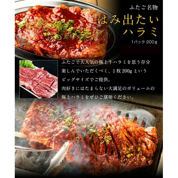 【送料無料】厳選 豪華5品 ふたごの焼肉セット ３～４人前 合計800g以上03