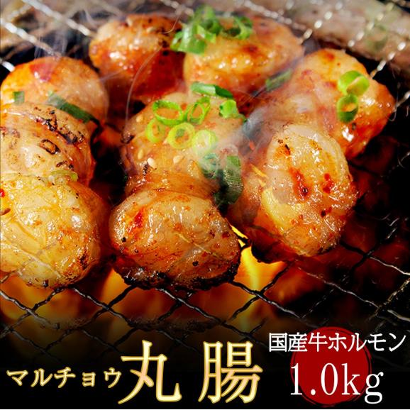【送料無料】ふたごの厳選国産牛 丸腸 大盛りセット(1.0kg(200g×5))!焼肉・バーベキュー(BBQ)にマルチョウ!01