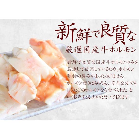 【送料無料】ふたごの厳選国産牛 丸腸 大盛りセット(1.0kg(200g×5))!焼肉・バーベキュー(BBQ)にマルチョウ!05