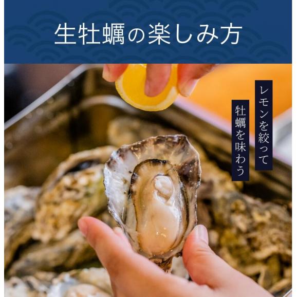 冷凍 牡蠣 の 缶焼き セット 3kg ( 瀬戸内海産 )04