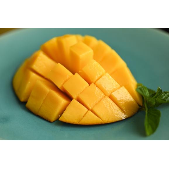 【母の日ギフト】太陽のタマゴ 4L&times;2玉 化粧箱入り 宮崎県産 完熟マンゴー04