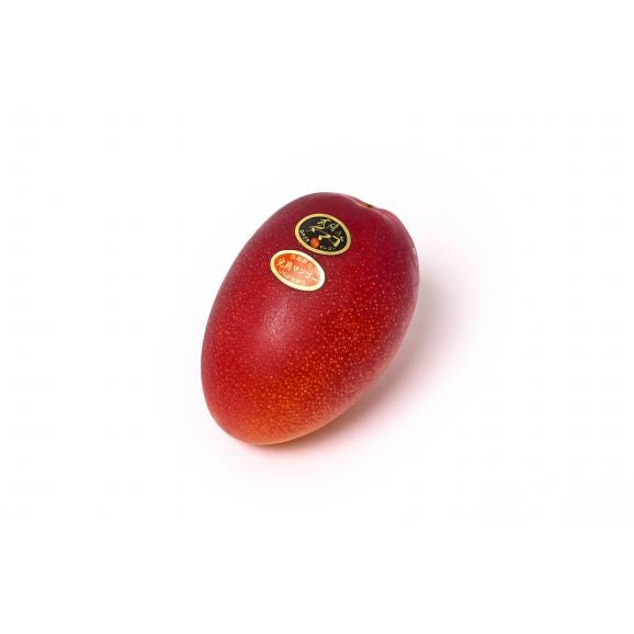 【母の日ギフト】太陽のタマゴ 4L&times;2玉 化粧箱入り 宮崎県産 完熟マンゴー05