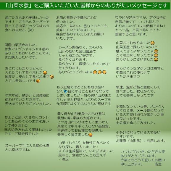 【送料無料】山菜水煮特選5点セット 国産 山形県産04