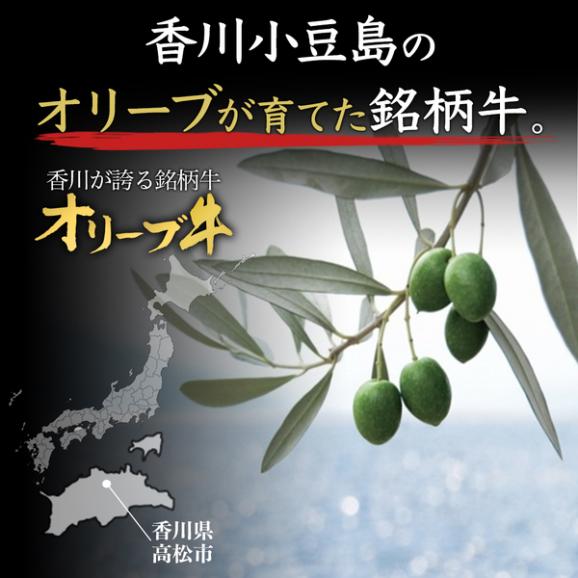 【送料無料】【讃岐牛】オリーブ牛　モモ焼肉用　450g　　約2人～3人前　焼肉02