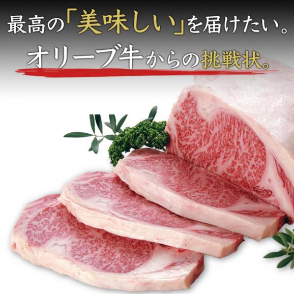 【送料無料】【讃岐牛】オリーブ牛サーロインステーキ　600g　　ステーキ　鉄板焼き04