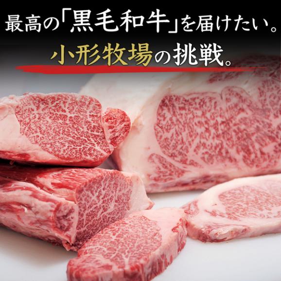 【送料無料】「肉の芸術品」前沢牛　薄切り・焼肉お得味比べセット04