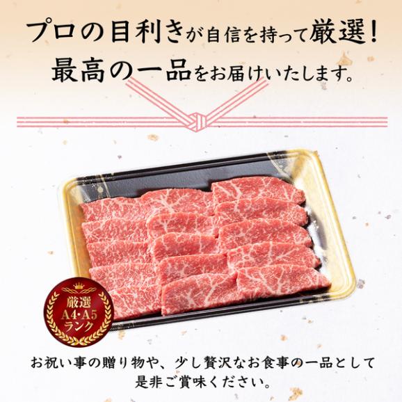 【送料無料】「肉の芸術品」前沢牛　薄切り・焼肉お得味比べセット05