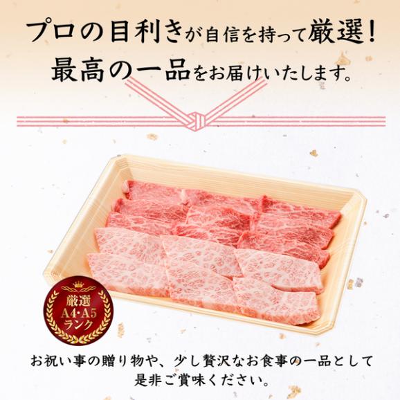 【送料無料】前沢牛焼肉　霜降り・赤身食べ比べセット05