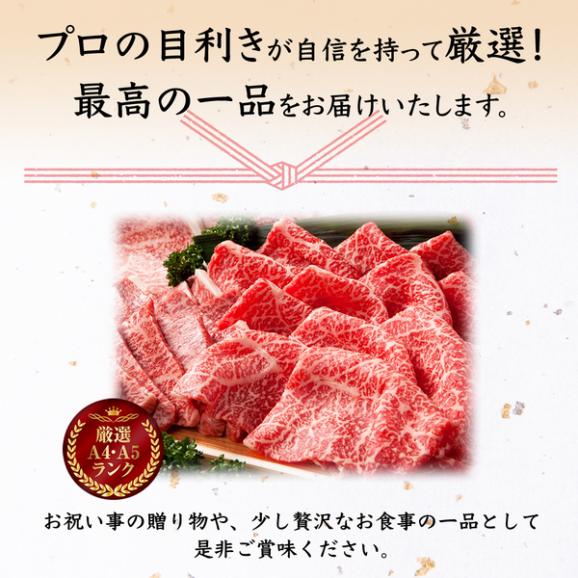 【送料無料】前沢牛サーロイン焼肉・しゃぶしゃぶ食べ比べセット05