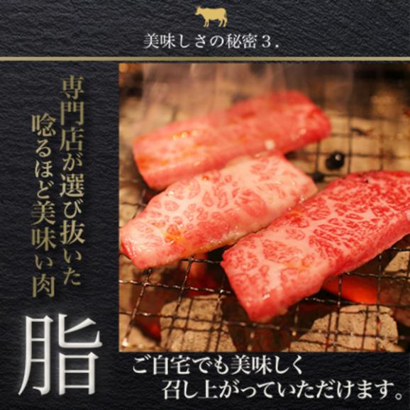 【送料無料】近江牛 上カルビ焼き肉セット 500g04