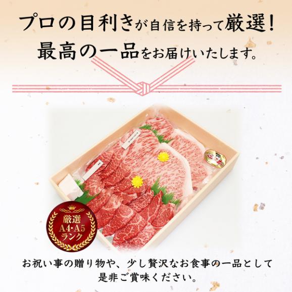 【送料無料】近江牛　贅沢食べ比べセットC（ステーキ用・焼肉用）06