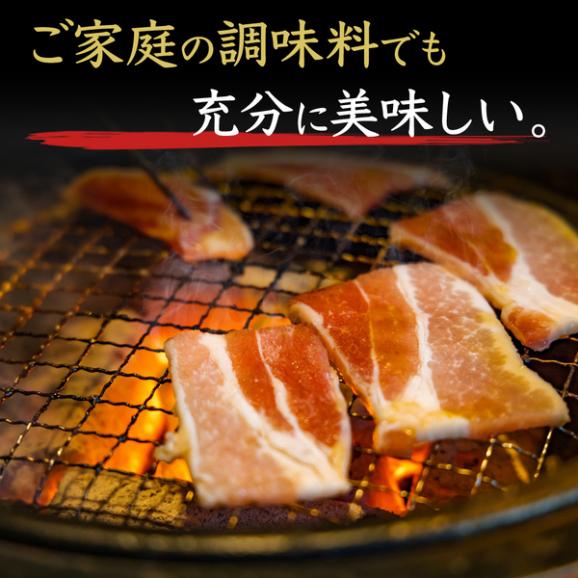 【送料無料】米沢豚一番育ち 厳選部位 焼肉食べ比べセット05