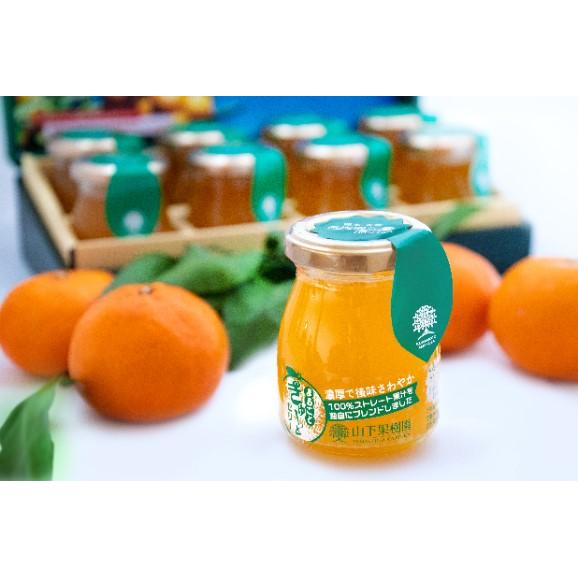 熊本の果樹園製造、柑橘類果汁９４％使用、糖度１９度の完熟ゼリーです02