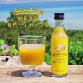 贈り物に最適、石垣島産パイナップル１００%使用のジュース