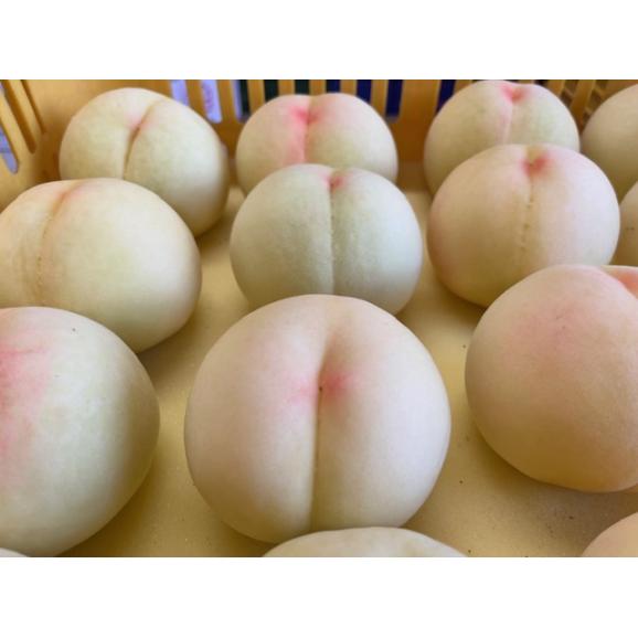 先行予約、岡山産清水白桃1㎏家庭用（５，６玉入り）02