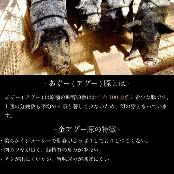 【送料無料】幻の豚 金アグー豚 沖縄でしか生産されていない貴重な豚肉のセット 約2人前04