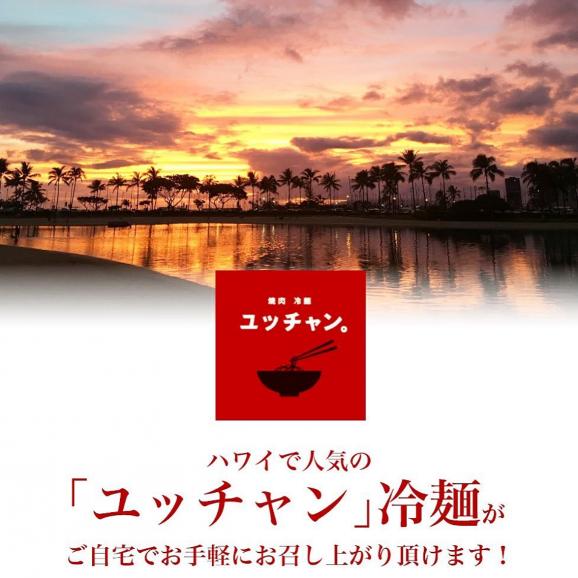 日本限定！ハワイで人気のユッチャンオリジナルカレー03