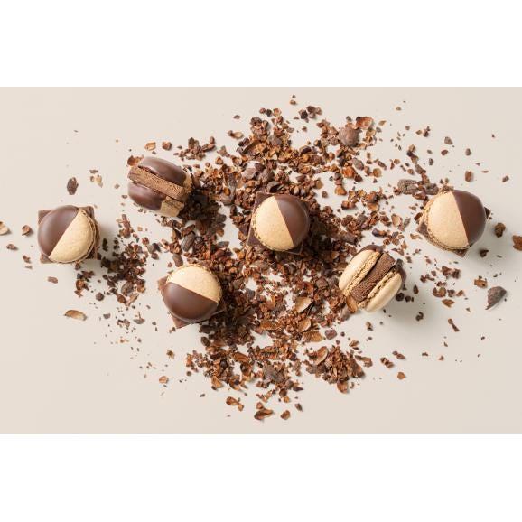 MAMEIL NAMA CHOCOLATE MACARON -Chocolate / Pistachio-02