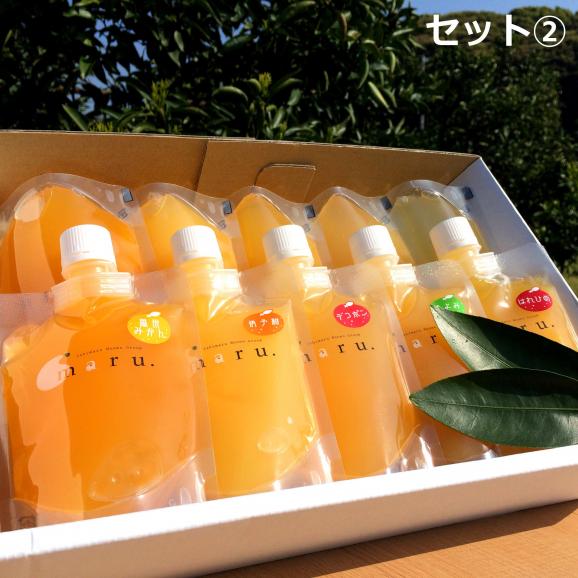 飲むみかんゼリー　10本セット02