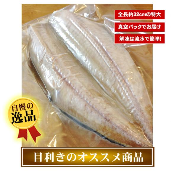 【１尾販売】やっと見つけた！美味しい縞ホッケ03