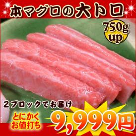  マグロ大トロ（腹身）７５０ｇUP　目利きの自信　財木品質★