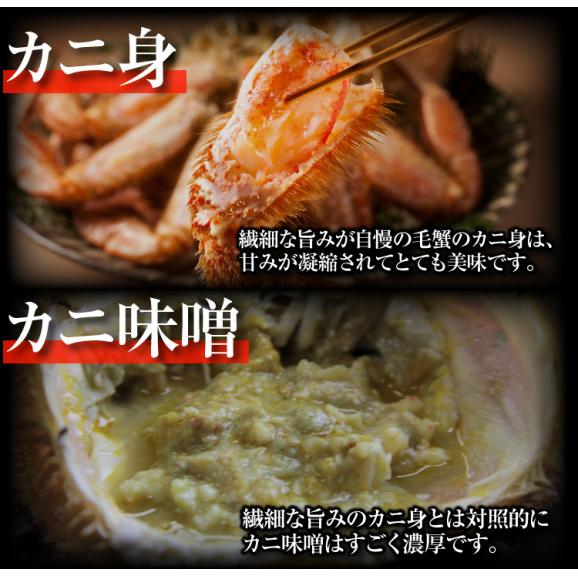 蟹味噌まで美味しい！北海道産 ボイル 毛蟹 500g前後×2匹入(1kg)【送料無料/毛がに/毛ガニ/お歳暮/ギフト/ますよね】04