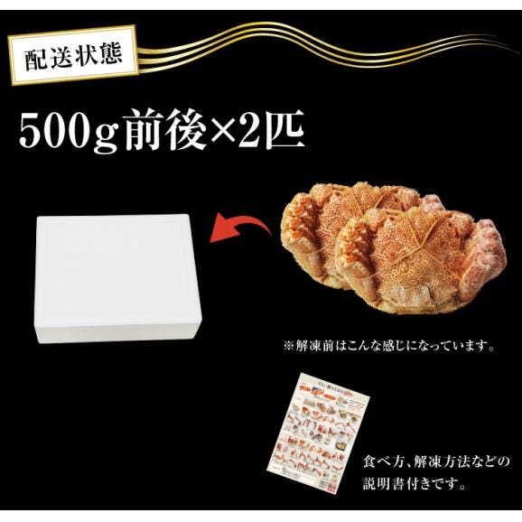 蟹味噌まで美味しい！北海道産 ボイル 毛蟹 500g前後×2匹入(1kg)【送料無料/毛がに/毛ガニ/お歳暮/ギフト/ますよね】06
