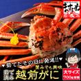 【越前冬の味覚の王者】越前がに 大サイズ700g前後 黄色タグ付[茹でたて 産地直送]※同梱不可【送料無料/ずわい蟹/越前カニ/越前かに/越前蟹/ギフト/お歳暮/蟹/ますよね】