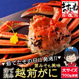 【越前冬の味覚の王者】越前がに 大サイズ700g前後 黄色タグ付[茹でたて 産地直送]※同梱不可【送料無料/ずわい蟹/越前カニ/越前かに/越前蟹/ギフト/お歳暮/蟹/ますよね】