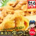 チリ産最上級Aグレード厳選！ミョウバン不使用 無添加 生うに 100g [ブランチング処理]【雲丹/生ウニ/うに/寿司/海鮮丼/送料無料/ますよね】