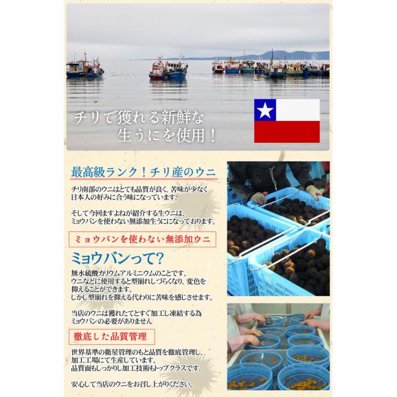 【賞味期限5月末までにつき見切セール】チリ産最上級Aグレード厳選！ミョウバン不使用 無添加 生うに 100g [ブランチング処理]【雲丹/生ウニ/うに/寿司/海鮮丼/送料無料/ますよね】02