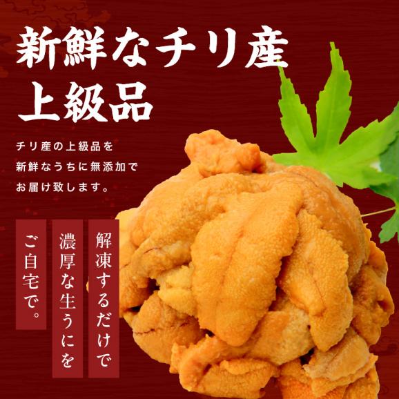チリ産最上級Aグレード厳選！ミョウバン不使用 無添加 生うに 100g [ブランチング処理]【雲丹/生ウニ/うに/寿司/海鮮丼/送料無料/ますよね】02