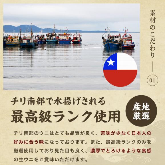 チリ産最上級Aグレード厳選！ミョウバン不使用 無添加 生うに 100g [ブランチング処理]【雲丹/生ウニ/うに/寿司/海鮮丼/送料無料/ますよね】03