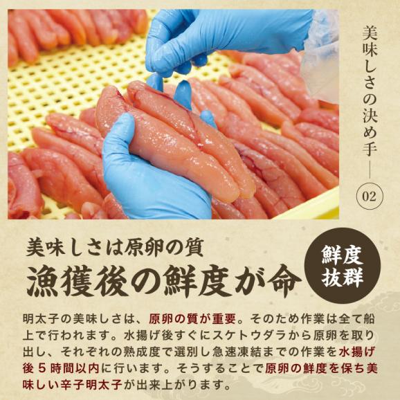【2種類の辛さから選べる】無着色 訳あり 辛子明太子 1kg(500g×2パック) (切れ子/ばら子)【めんたいこ/メンタイコ/明太子/バラ子/たらこ/パスタ/送料無料/ますよね】05