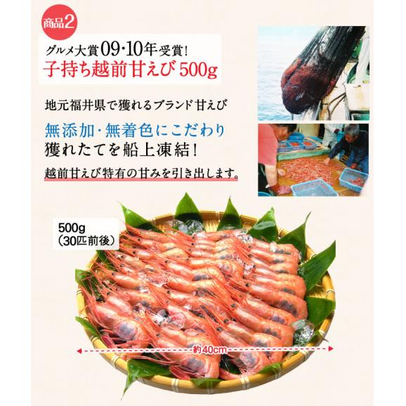 豪華ますよね福袋(牡蠣、越前甘えび、訳あり明太子)※同梱不可【牡蠣/カキ/甘海老/甘エビ/辛子明太子/めんたいこ/福袋/ギフト/送料無料/ますよね】03