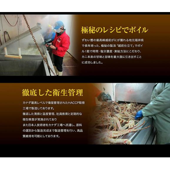 ボイル ずわい蟹 足 約2.5kg[解凍後約2kg]約5-7人前【送料無料/蟹/カニ/ズワイカニ/ずわいかに/ずわいがに/ズワイ蟹/蟹足/お中元/ギフト/ますよね】04